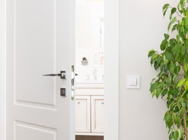 Bathroom Door Replacement - Bathroom Door Replacement Palatine, Illinois